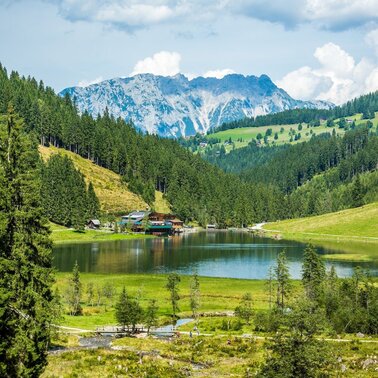 Winterwanderweg Steirischer Bodensee | Touren In Schladming-Dachstein